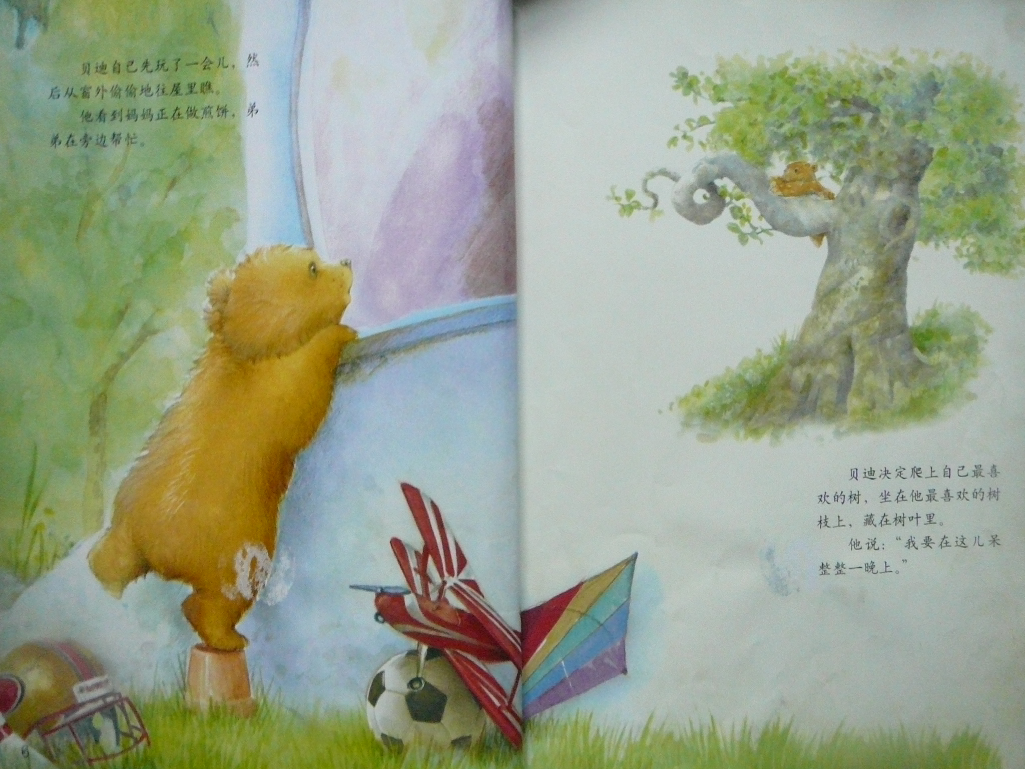 愿望树 (07),绘本,绘本故事,绘本阅读,故事书,童书,图画书,课外阅读